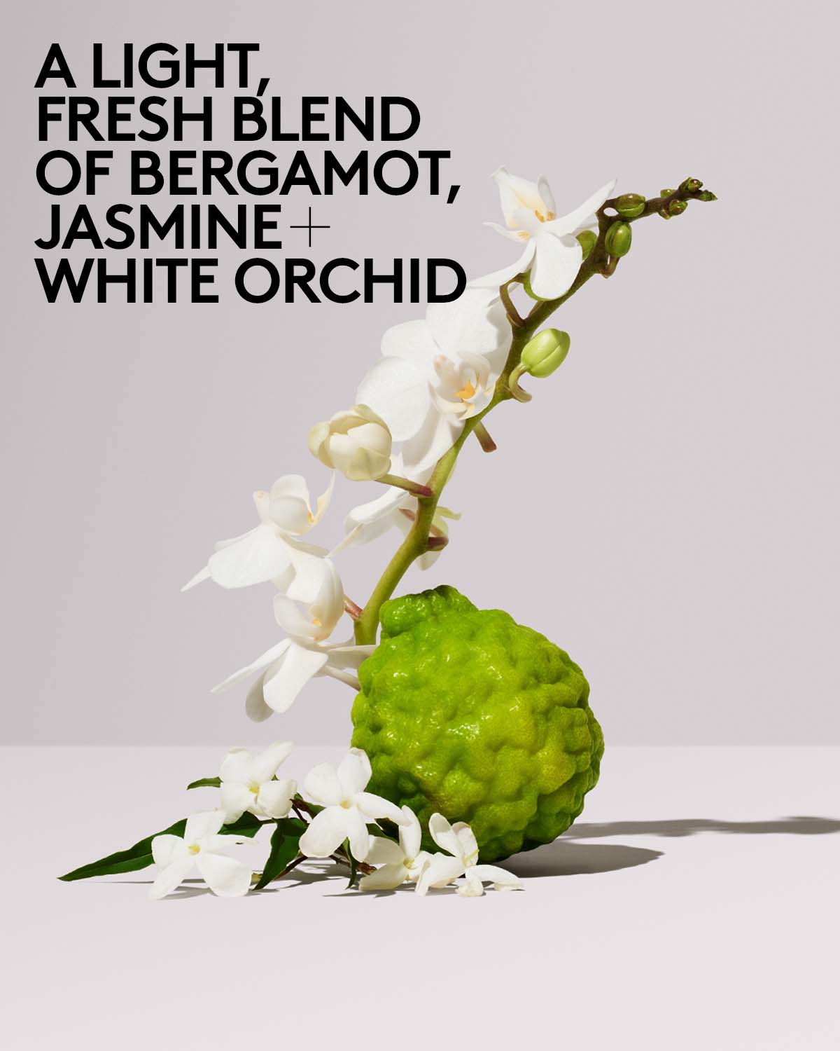 Butta Drop Hydrating Body Milk ¡ª Fenty Fresh