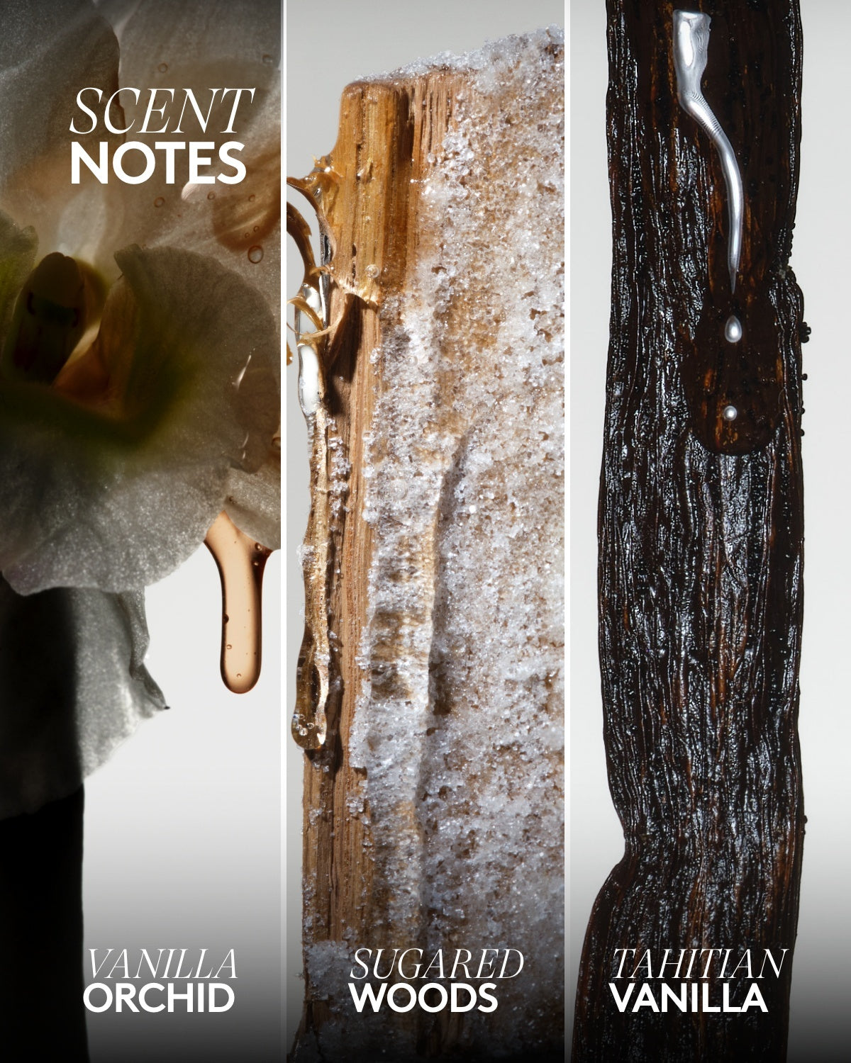 Big Dripp'r Body Wash ¡ª Vanilla Flowers